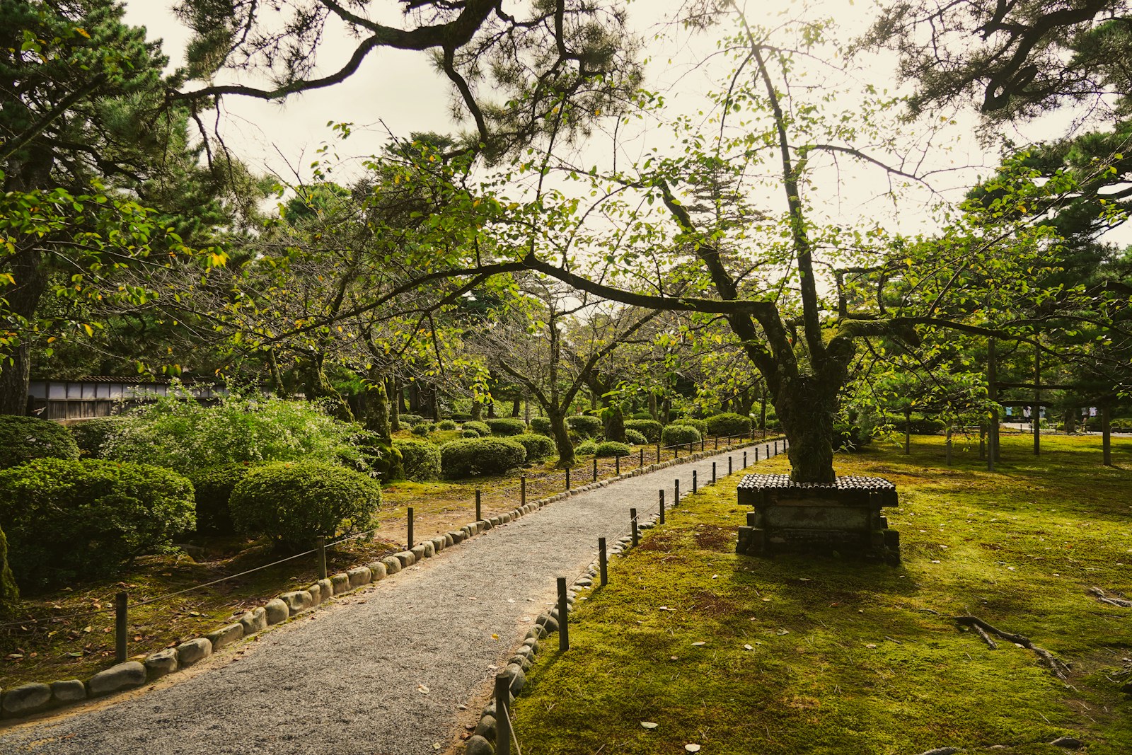 金沢・兼六園の木々に囲まれた園路